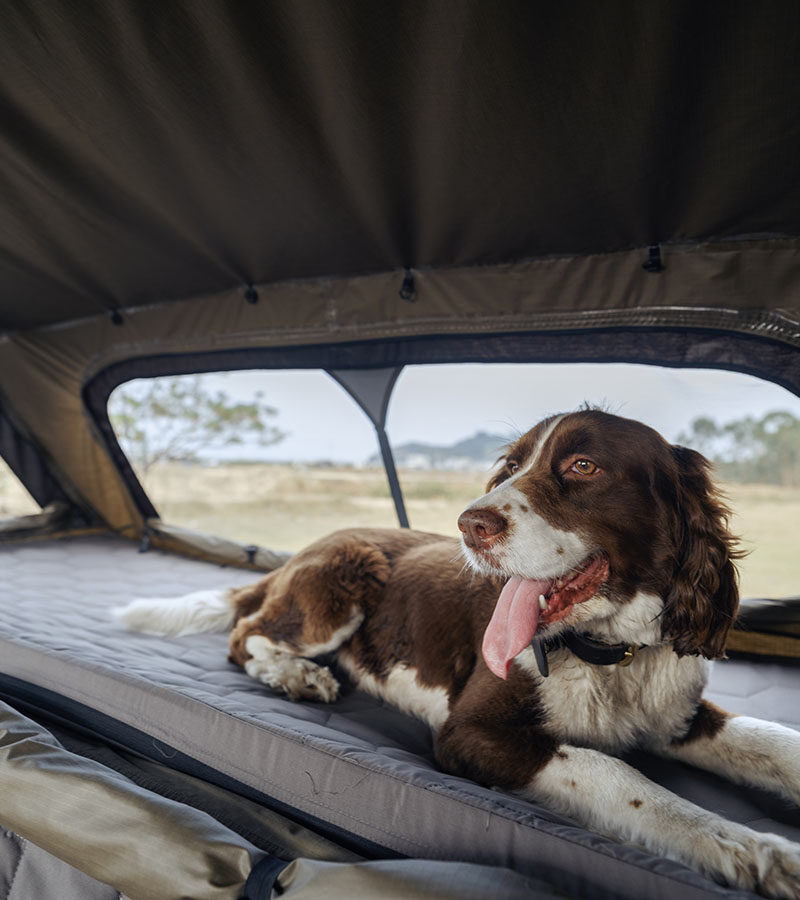 Tenda da tetto WildLand Brétema Family V2 130 - immagine 9